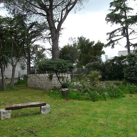 B&B Villa Garden Bisceglie Exterior photo